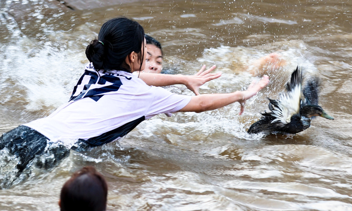 Trai gái làng gốm ở Hà Nội ngụp lặn săn ‘lộc vịt’ đầu xuân