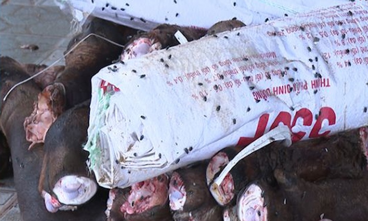 Phát hiện 2 kho lạnh chứa gần 6 tấn đuôi, chân trâu bò bốc mùi thối ở Thanh Hoá