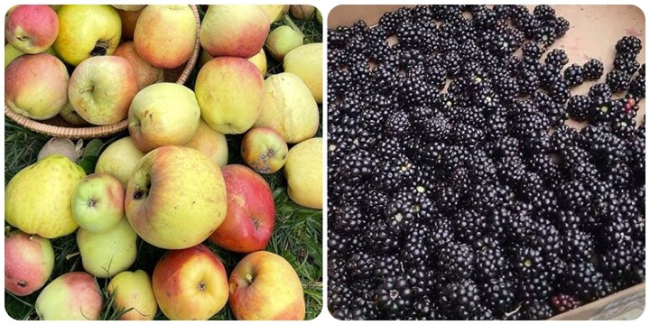 5 loại trái cây giúp thanh lọc cơ thể hiệu quả nhất