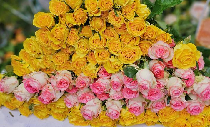 Giá hoa hồng 8/3 tăng kỷ lục: Khách bất ngờ, tiểu thương TP.HCM lo ế