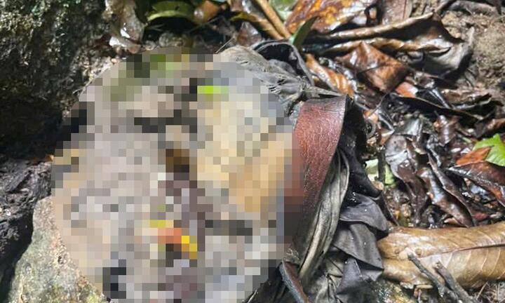 Phát hiện bộ xương người ở bìa rừng