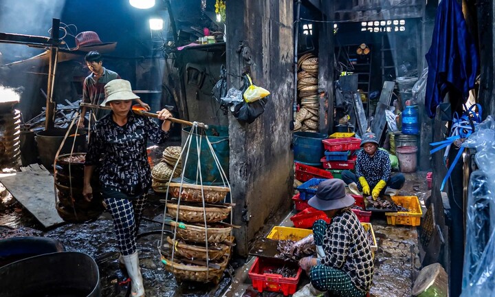 Những người phụ nữ gồng mình gánh sinh kế trên bến cá Tam Quan