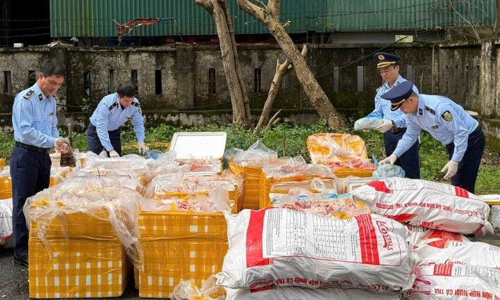 Phát hiện xe vận chuyển hơn 2,6 tấn nội tạng không rõ nguồn gốc trên cao tốc