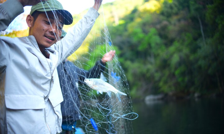 Ngược dòng sông Krông Nô săn loài cá quý hiếm ở Lâm Đồng cùng bà con K'Ho