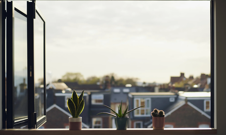 Vì sao người Hà Lan không thích dùng rèm cửa?