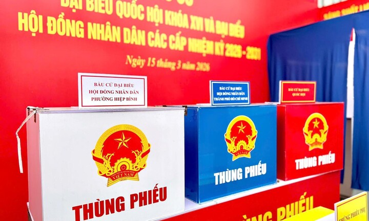 Tự ứng cử ĐBQH: Thước đo độ mở của nền dân chủ
