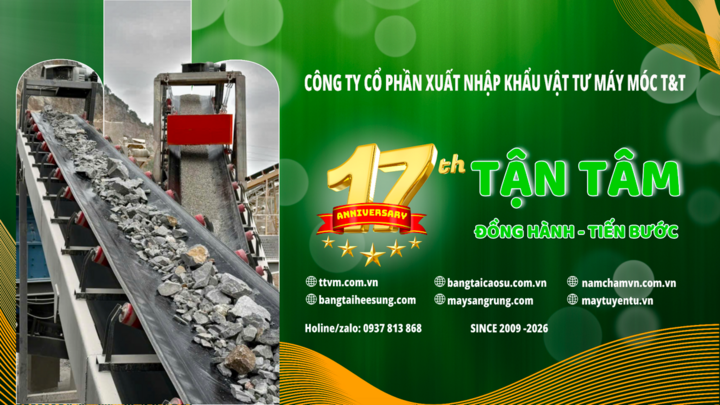 17 năm 'Đồng hành - Tiến bước': T&T VM khẳng định vị thế bằng giá trị thực