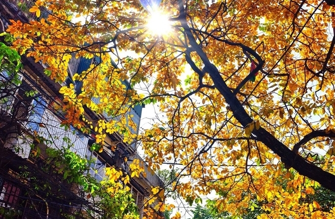 Dự báo thời tiết ngày 17/3: Hà Nội nắng 28°C, TP.HCM đêm mưa cục bộ