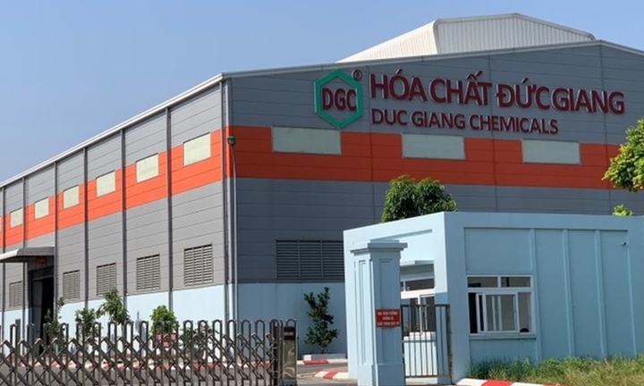 Cổ phiếu Hóa chất Đức Giang giảm kịch sàn, trắng bên mua sau tin Chủ tịch bị bắt