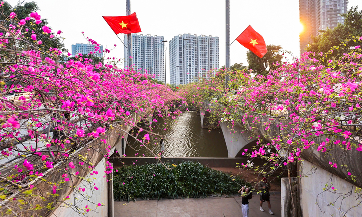 Hoa giấy phủ kín cầu Thủy Tiên, khung cảnh như 'xứ sở thần tiên'