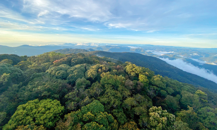 Vườn quốc gia Bidoup - Núi Bà: 'Lá phổi xanh' của cao nguyên Lâm Đồng
