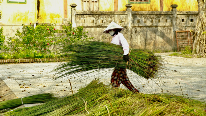 Về làng nghề 'độc nhất vô nhị' hơn 500 tuổi xem người dân đan cỏ thành tiền