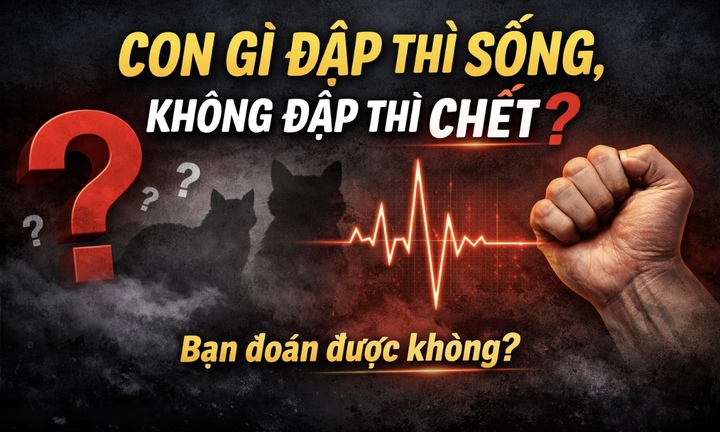 Giải mã câu đố: Con gì đập thì sống, không đập thì chết?