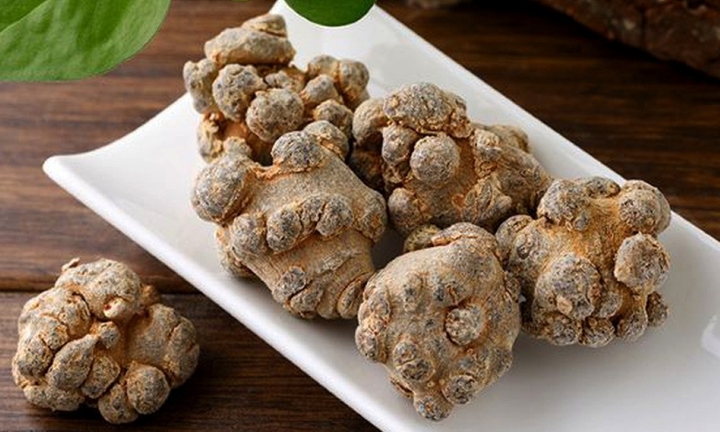 Cây tam thất có tác dụng gì? Công dụng và ai không nên dùng?