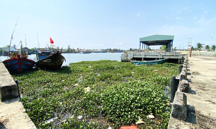 Cảng cá 120 tỷ xây xong 'chỉ để ngắm', ngư dân chờ hoài chẳng thấy cảnh bán buôn