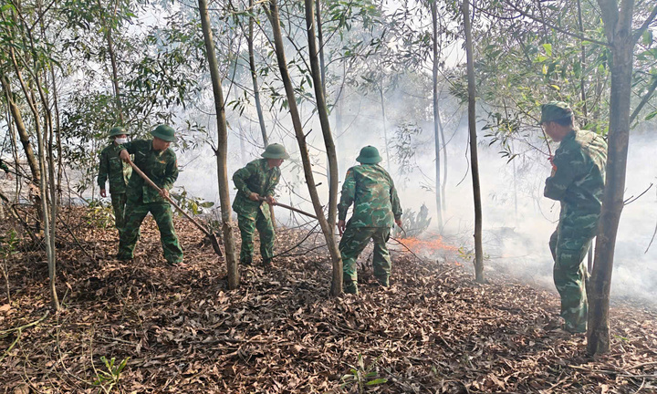 Cháy rừng giữa nắng nóng, hơn 1,5 ha tràm ở Quảng Trị bị thiêu rụi