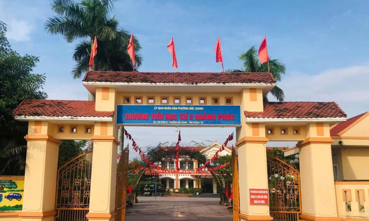 Tạm đình chỉ hiệu trưởng trường tiểu học ở Quảng Trị để điều tra dấu hiệu 'chạy' hợp đồng