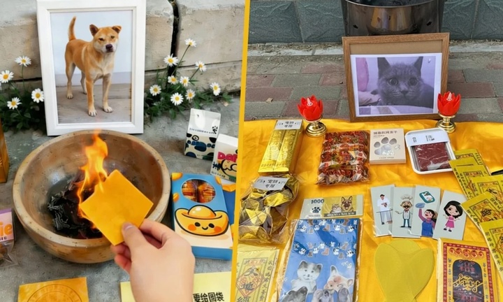 Đám tang xa xỉ cho thú cưng: Nghi lễ long trọng, đốt vàng mã có cả người hầu