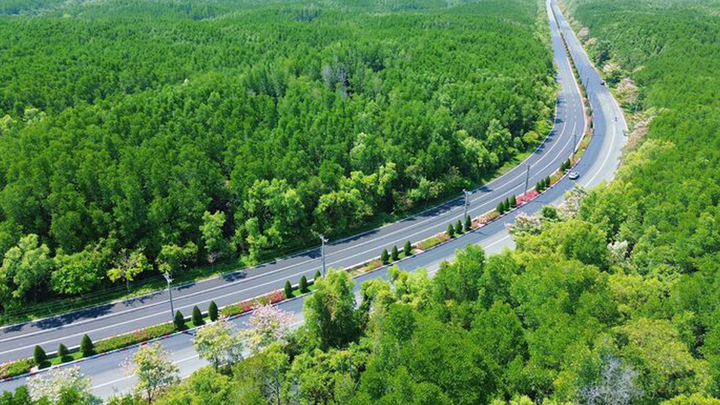 Siêu dự án 19.000 tỷ đồng: Vingroup đề xuất mở đường Rừng Sác lên 10 làn xe