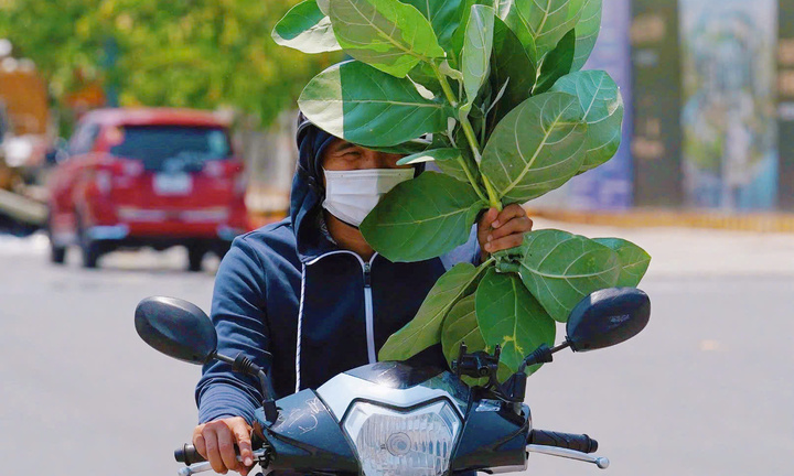 Nam Bộ hứng nắng nóng gay gắt trong tháng 4, có nơi chạm ngưỡng 39°C