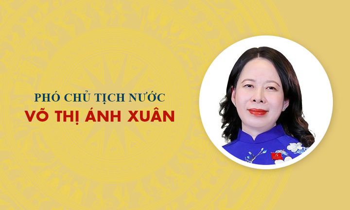 Infographic: Sự nghiệp Phó Chủ tịch nước Võ Thị Ánh Xuân