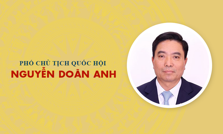 Infographic: Sự nghiệp Phó Chủ tịch Quốc hội khóa XVI Nguyễn Doãn Anh