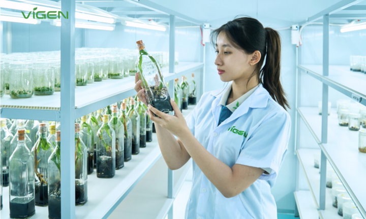 Cây giống ViGen - Kiến tạo tương lai xanh bằng nền tảng nông nghiệp bền vững