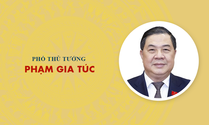 Infographic: Sự nghiệp Phó Thủ tướng Phạm Gia Túc