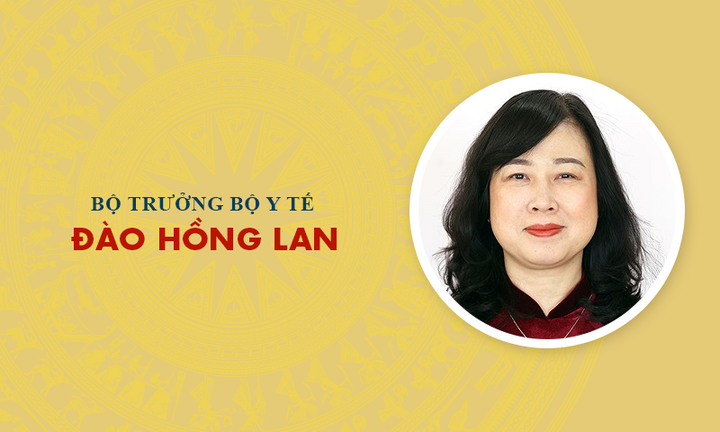 Infographic: Sự nghiệp Bộ trưởng Bộ Y tế Đào Hồng Lan
