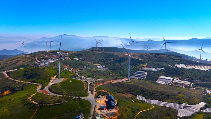 Ngắm đồi chè trăm tuổi, quanh năm quấn quýt 'biển mây' ở Đà Lạt