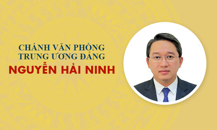 Infographic: Sự nghiệp Chánh Văn phòng Trung ương Đảng Nguyễn Hải Ninh