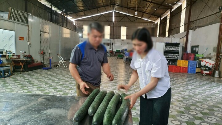 Cơ sở đưa thịt lợn nhiễm dịch tả vào trường mầm non bị phạt 22,5 triệu đồng