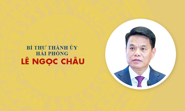 Infographic: Sự nghiệp tân Bí thư Thành ủy Hải Phòng Lê Ngọc Châu
