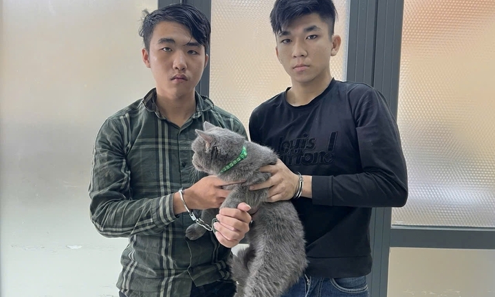 Công an TP.HCM bắt 31 kẻ trộm cắp chó, mèo trong 3 tháng đầu năm