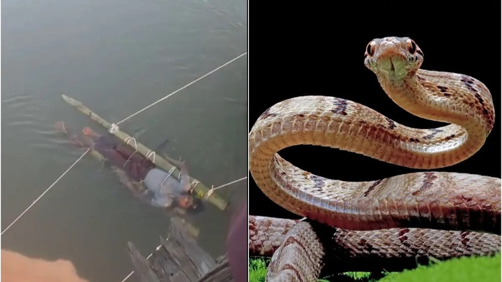 Cậu bé bị gia đình dìm nước sông 12 tiếng để chữa rắn cắn, chết thương tâm