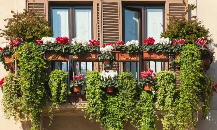 7 cách làm mát nhà mà không cần bật điều hòa giúp tiết kiệm điện