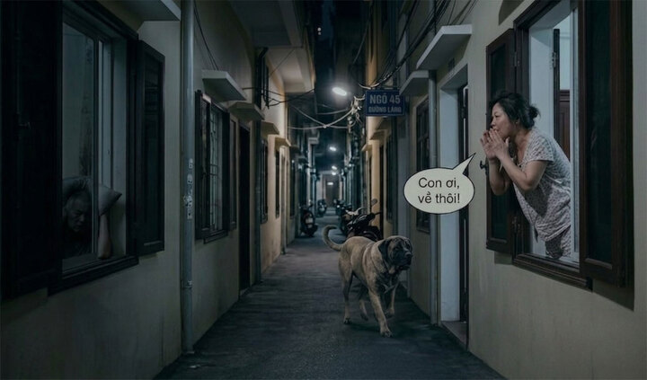 Thường xuyên tỉnh giấc giữa đêm vì hàng xóm gọi chó 'con ơi về đi' ầm cả ngõ