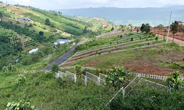 Đất nền phân lô 'chôn vốn' 4 năm, rao bán cắt lỗ không ai mua