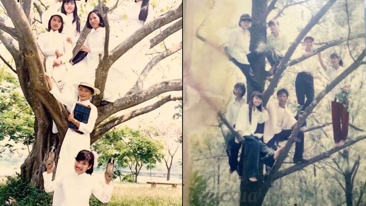 Dân mạng trẻ thắc mắc tại sao thế hệ 7x, 8x toàn chụp ảnh trên cây