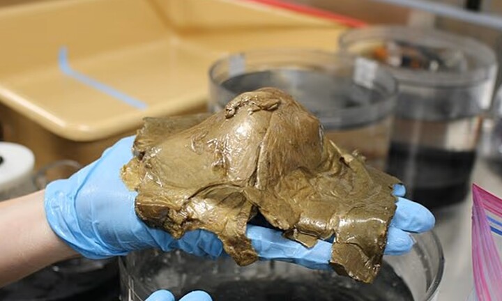 Giải mã bí ẩn ‘quả trứng vàng’ có nghi vấn liên quan đến người ngoài hành tinh