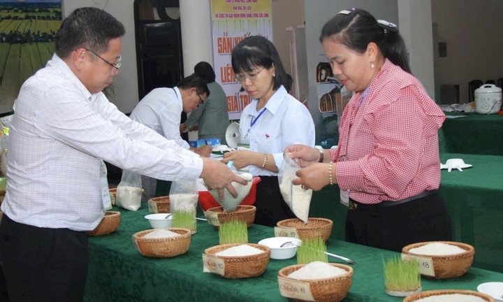 Một hợp tác xã ở Cà Mau đạt giải nhất cuộc thi Gạo ngon ĐBSCL lần đầu tổ chức