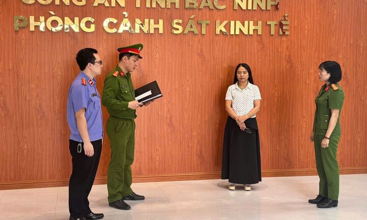 Lập khống hồ sơ chiếm đoạt 300 triệu, nữ kế toán trung tâm Phương Nam bị khởi tố