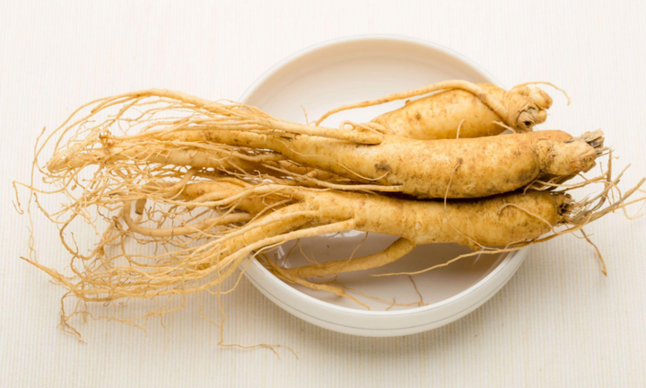 Phân biệt sâm tươi 6 năm tuổi: Tưởng dễ mà khó