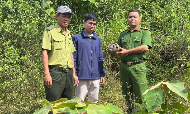 Thấy tê tê quý hiếm nằm bên lề đường, nam công nhân ở Đà Nẵng giao nộp công an