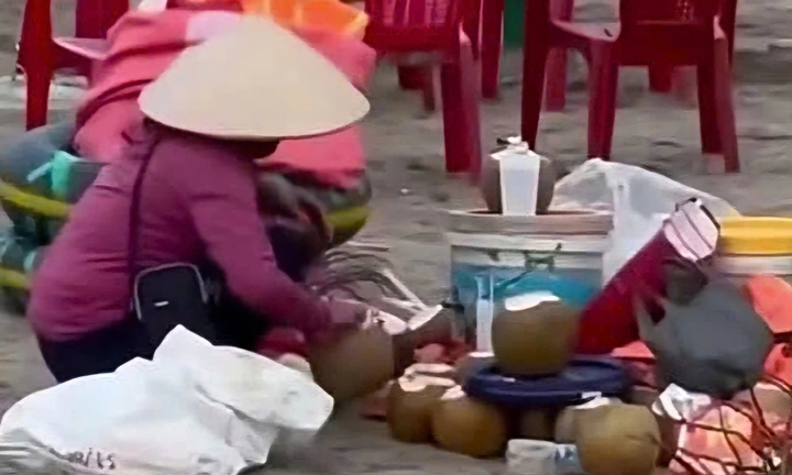 Gom nước dừa thừa ở bãi biển Ninh Bình: Chủ quán bị cấm kinh doanh