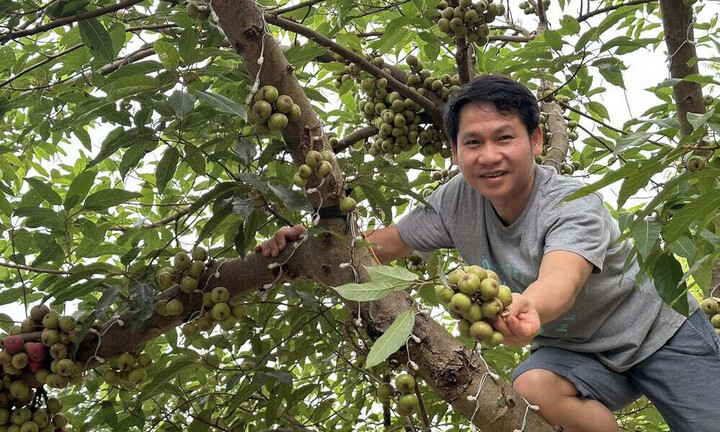 'Ông hoàng nhạc đỏ' mê làm nông, có nhà vườn rộng 4.000m²