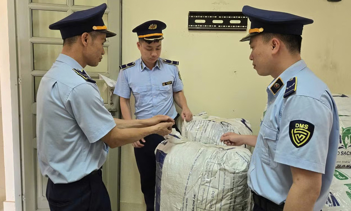 Yêu cầu 'giấy khai sinh' cho 80kg xác ve sầu khô: Thông tin mới nhất