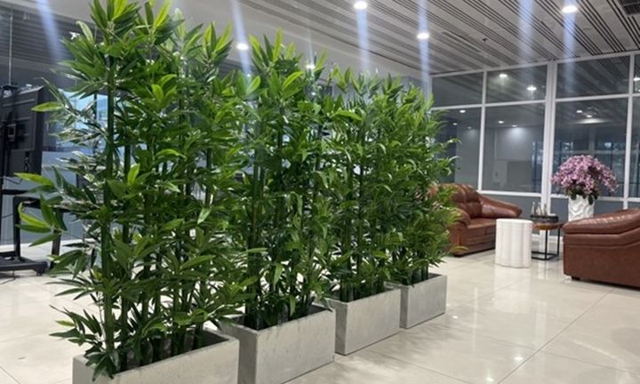 5 giải pháp tạo sự riêng tư cho nhà mở 