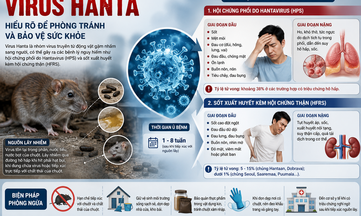 Virus Hanta gây bệnh gì?