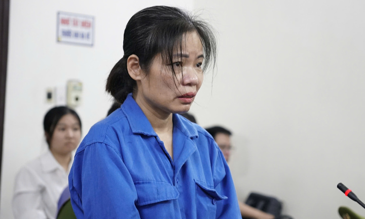 Nữ giúp việc bạo hành cụ bà ngồi xe lăn bị tuyên 2 năm tù